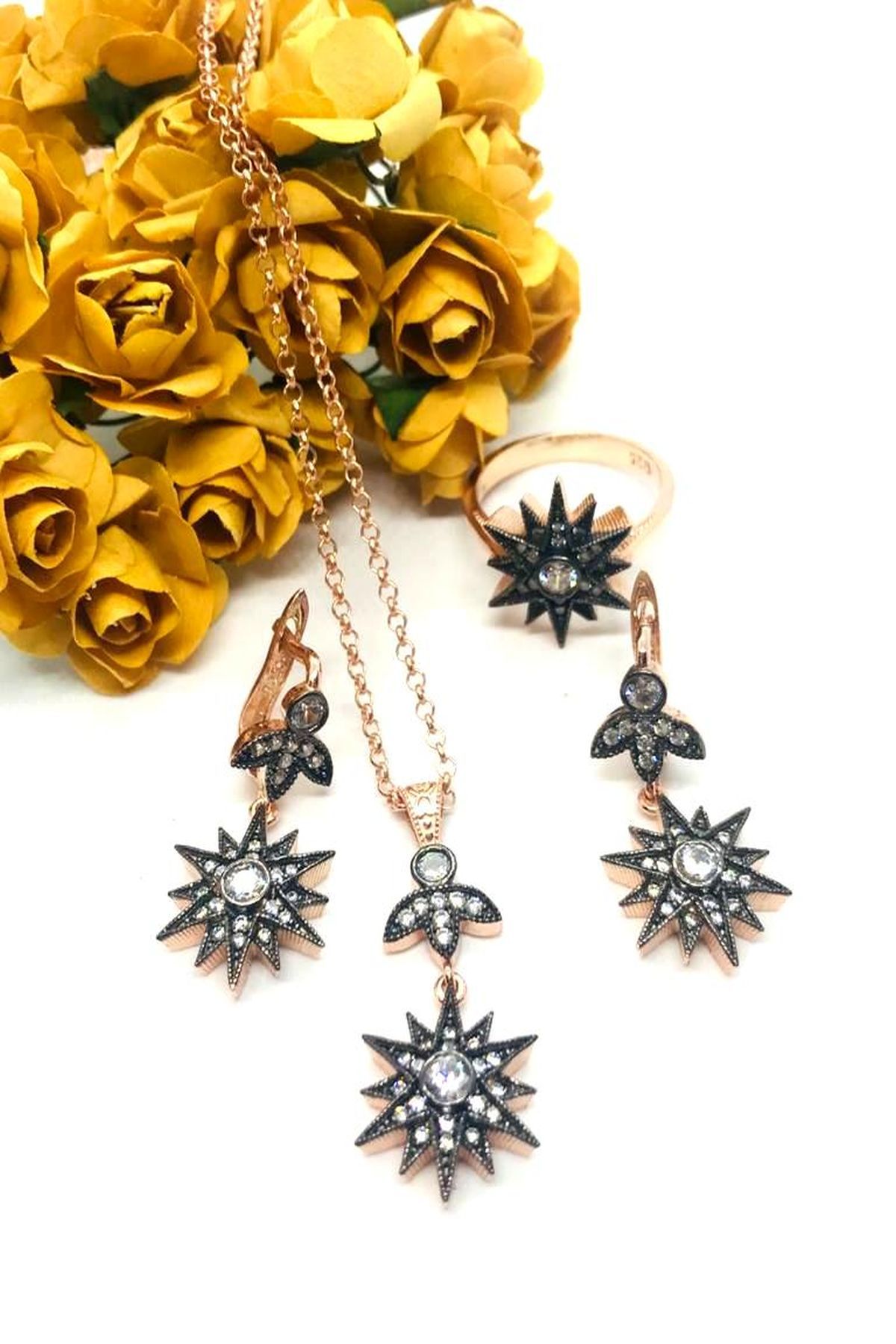 925 Ayar Gümüş Elmas Montürlü Kutup Yıldızı  Set-Takım Pembe Altın (Rose) - 15