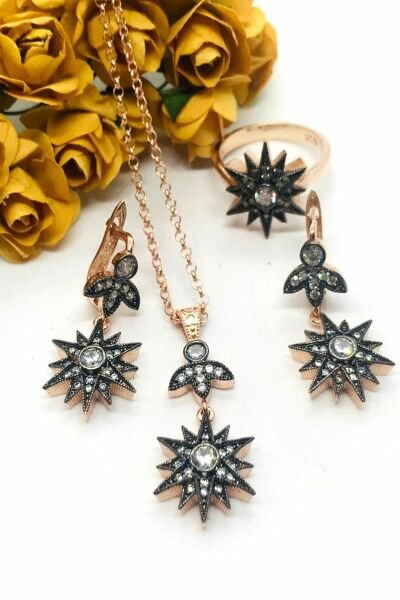 925 Ayar Gümüş Elmas Montürlü Kutup Yıldızı  Set-Takım Pembe Altın (Rose) - 14