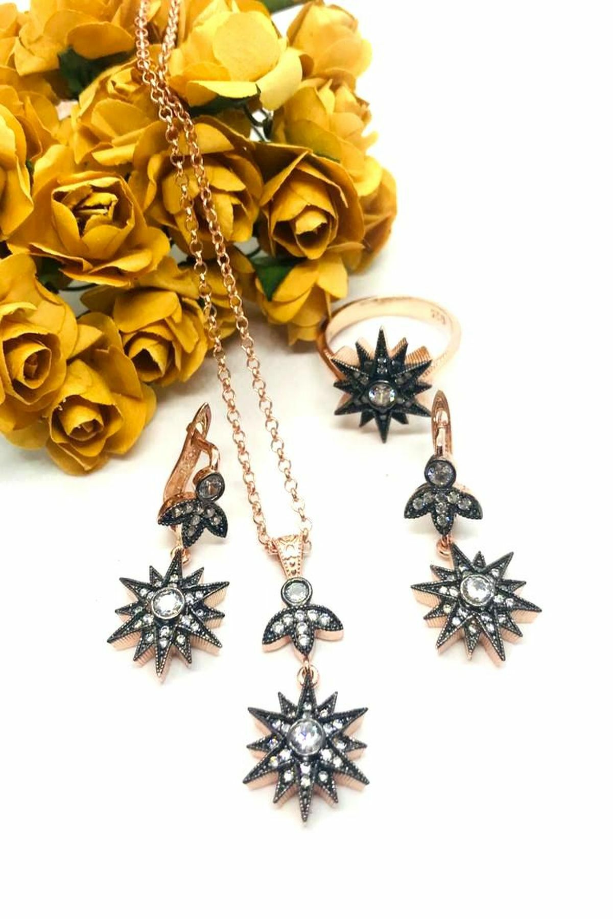 925 Ayar Gümüş Elmas Montürlü Kutup Yıldızı  Set-Takım Pembe Altın (Rose) - 12